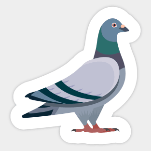 Pigeon Sticker